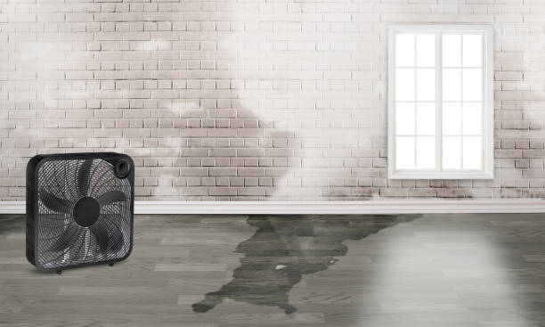 Best 24-hour water damage restoration  in Martinsville, VA