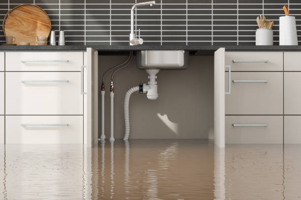 Best Carpet water damage restoration  in Martinsville, VA