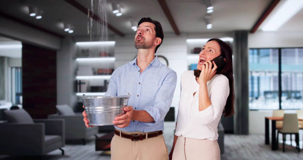 Best Water damage contractors near me  in Martinsville, VA