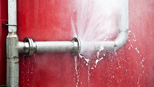 Best Flood damage cleanup  in Martinsville, VA